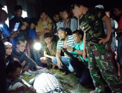 Sertu Moh Yana Babinsa Koramil 0115/Cimanggu Bersama Warga Tangkap Buaya Yang Terkam Warga