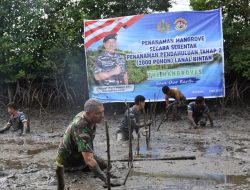 Jelang Penanaman Mangrove Serentak, Lanal Bintan Siapkan Mangrove Di Sei Tiram Bintan