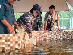 Danlanal Bandung Lepas Tukik Guna Jaga Kelestarian dan Ekosistem Laut