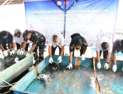 Lanal Simeulue Laksanakan Gerakan Nasional Ketahanan Pangan Tahun 2023