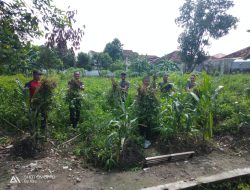 Korem 072/Pamungkas Dukung Ketahanan Pangan Nasional