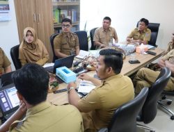 BSKDN Kemendagri Beberkan Strategi Perluas Penerapan MPP Digital di Daerah
